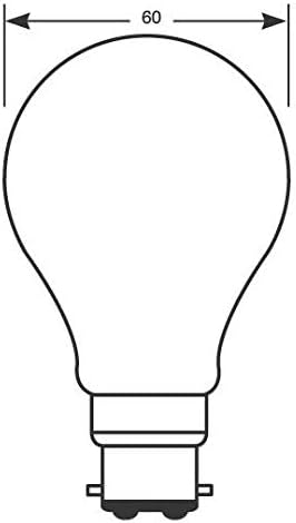 240v 100w BC Rough Service Bulb
