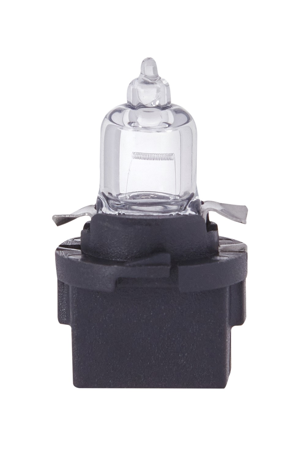 12v 5w B10D (Black Base) Panel Bulb