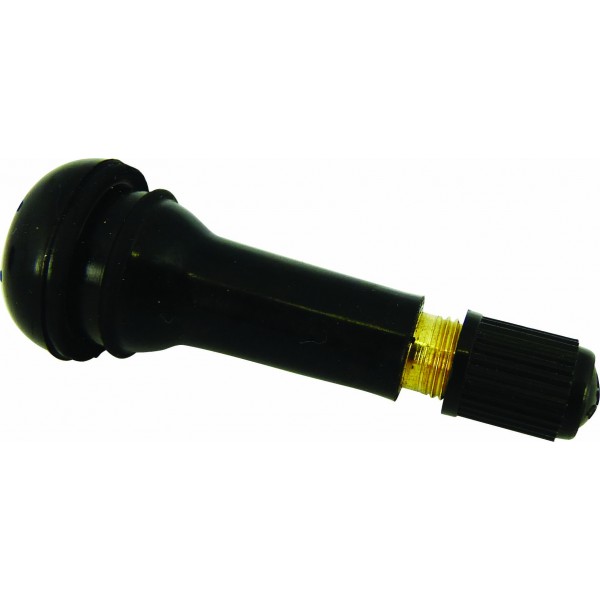 SHORT TYRE VALVES X100